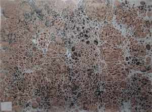 Papier marmurkowy PM55