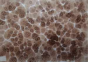 Papier marmurkowy PM59