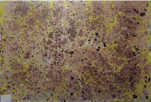 Papier marmurkowy PM61